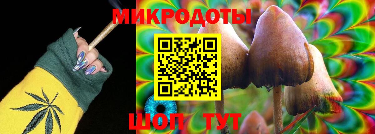 Галлюциногенные грибы прущие грибы Тихвин